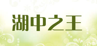 湖中之王品牌LOGO图片