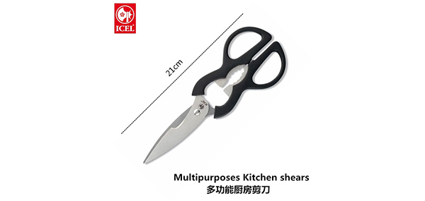 ICEL品牌LOGO图片