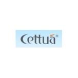 CETTUA/可迪品牌LOGO图片