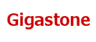 Gigastone/立达品牌LOGO图片