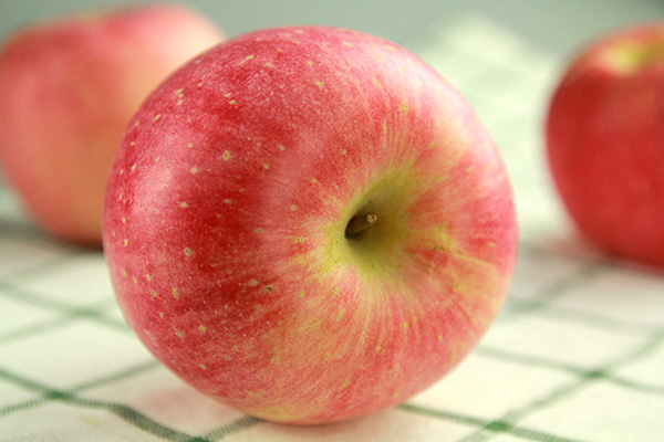 家绿品牌LOGO图片