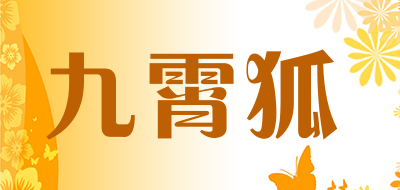九霄狐LOGO