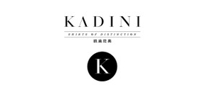 凯迪尼奥品牌LOGO图片