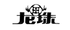 龙珠品牌LOGO图片