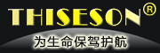 Thiseson/砾石品牌LOGO图片