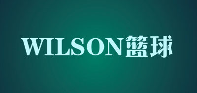 wilson/WILSON篮球品牌LOGO图片