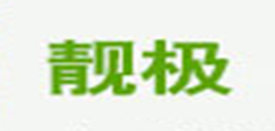 靓极品牌LOGO图片