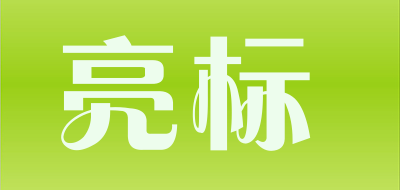 亮标品牌LOGO图片