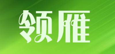 领雁品牌LOGO图片