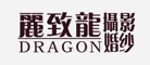 丽致龙品牌LOGO图片