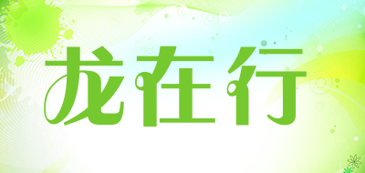龙在行LOGO