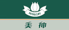 MAXSUN/美神LOGO