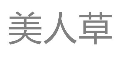 美人草品牌LOGO图片